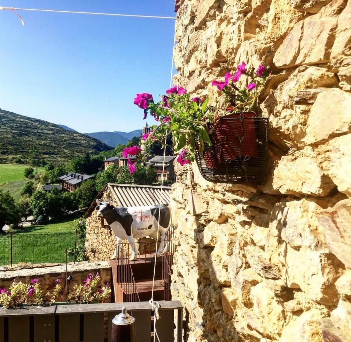 Preciosa Casa Rural Cal Felipet En Olopte-Cerdanya エクステリア 写真